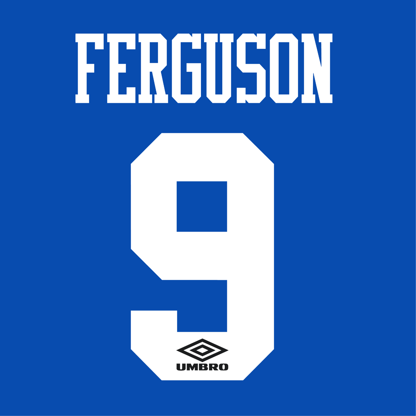 Everton Name Set 1994-95 Home Shirt ANY NAME/NUMBER Flock M L Ferguson Stubbs