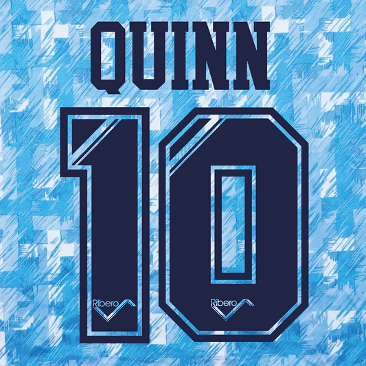 Coventry City Name Set 1992-94 Home Shirt ANY NAME/NUMBER Flock Ribero