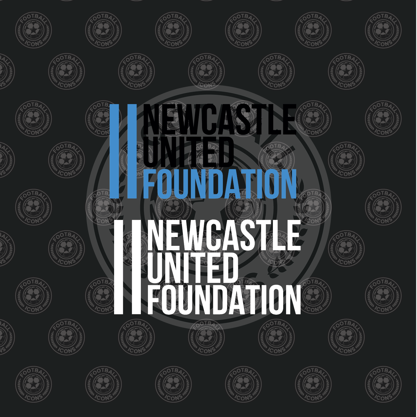 Newcastle United Foundation Sponsor