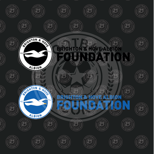 Brighton and Hove Albion Foundation Back Sponsor
