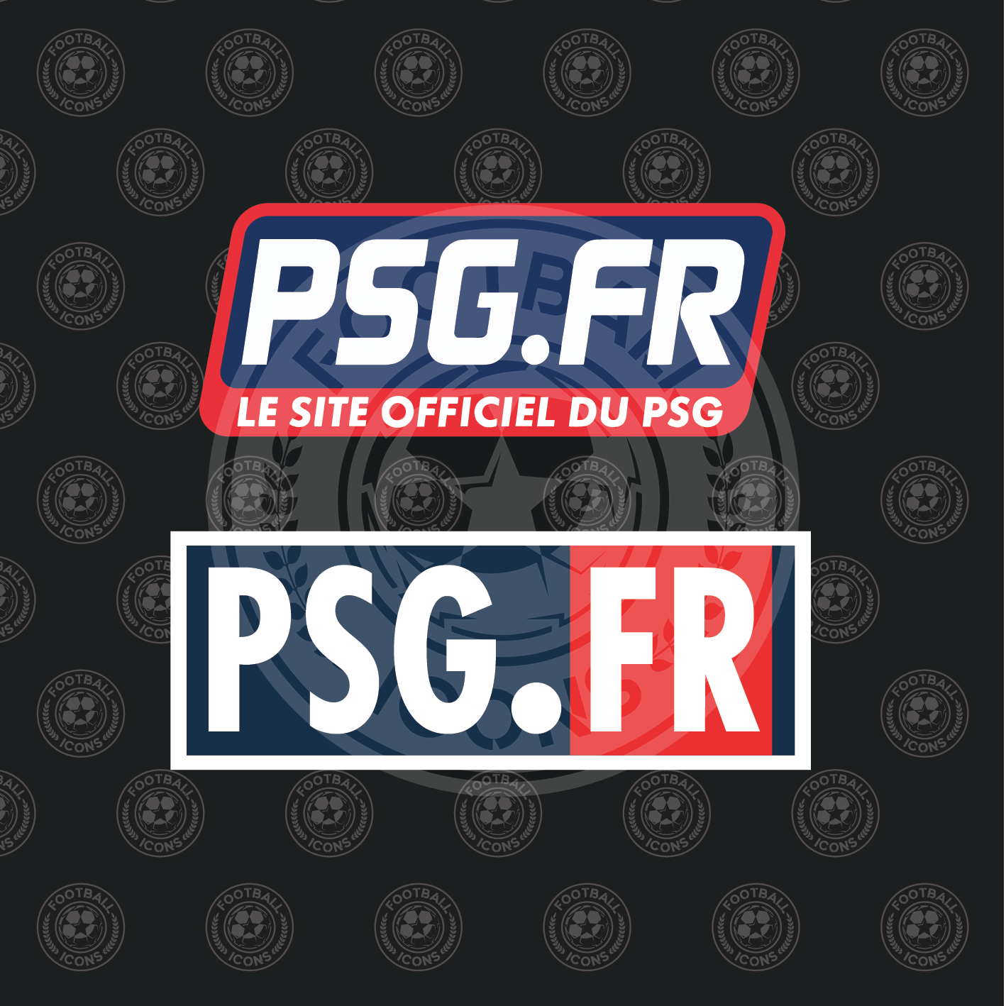 PSG.FR Sleeve Sponsor for PSG Shirt