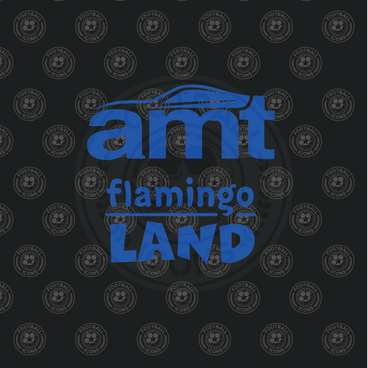 amt and Flamingo Land Sponsors for Leeds United Shirt
