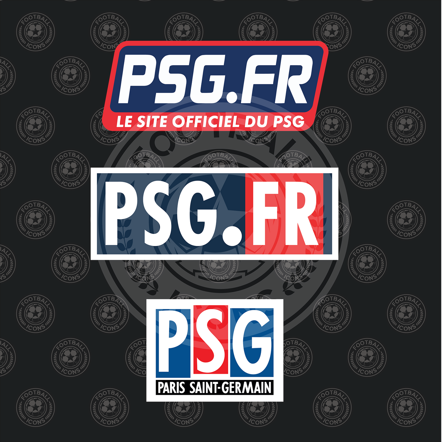 PSG.FR Sleeve Sponsor for PSG Shirt