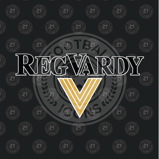 Reg Vardy Sponsor for Sunderland Shirt