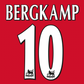 Dennis Bergkamp Testimonial Set