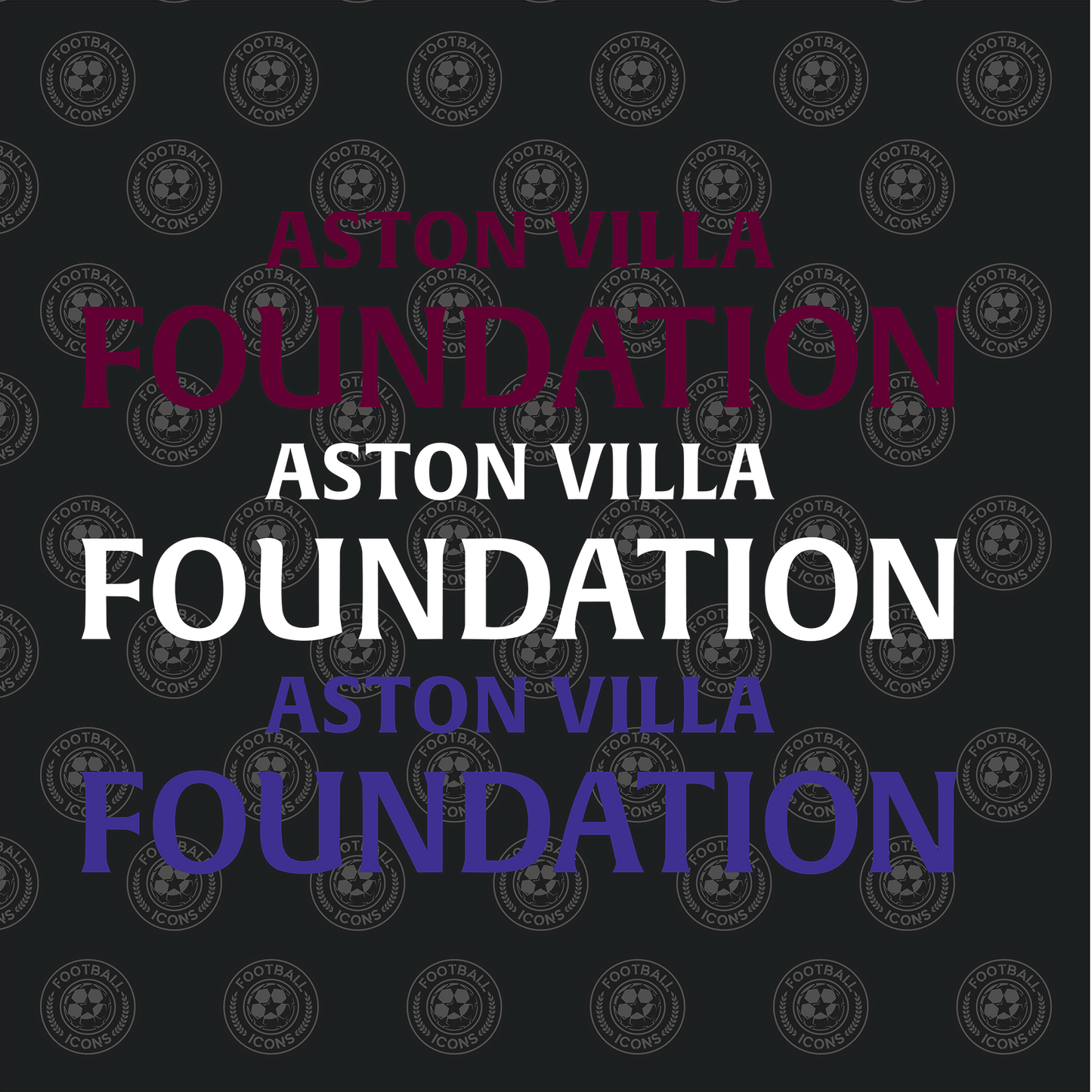 Aston Villa Foundation Sponsor 25/26