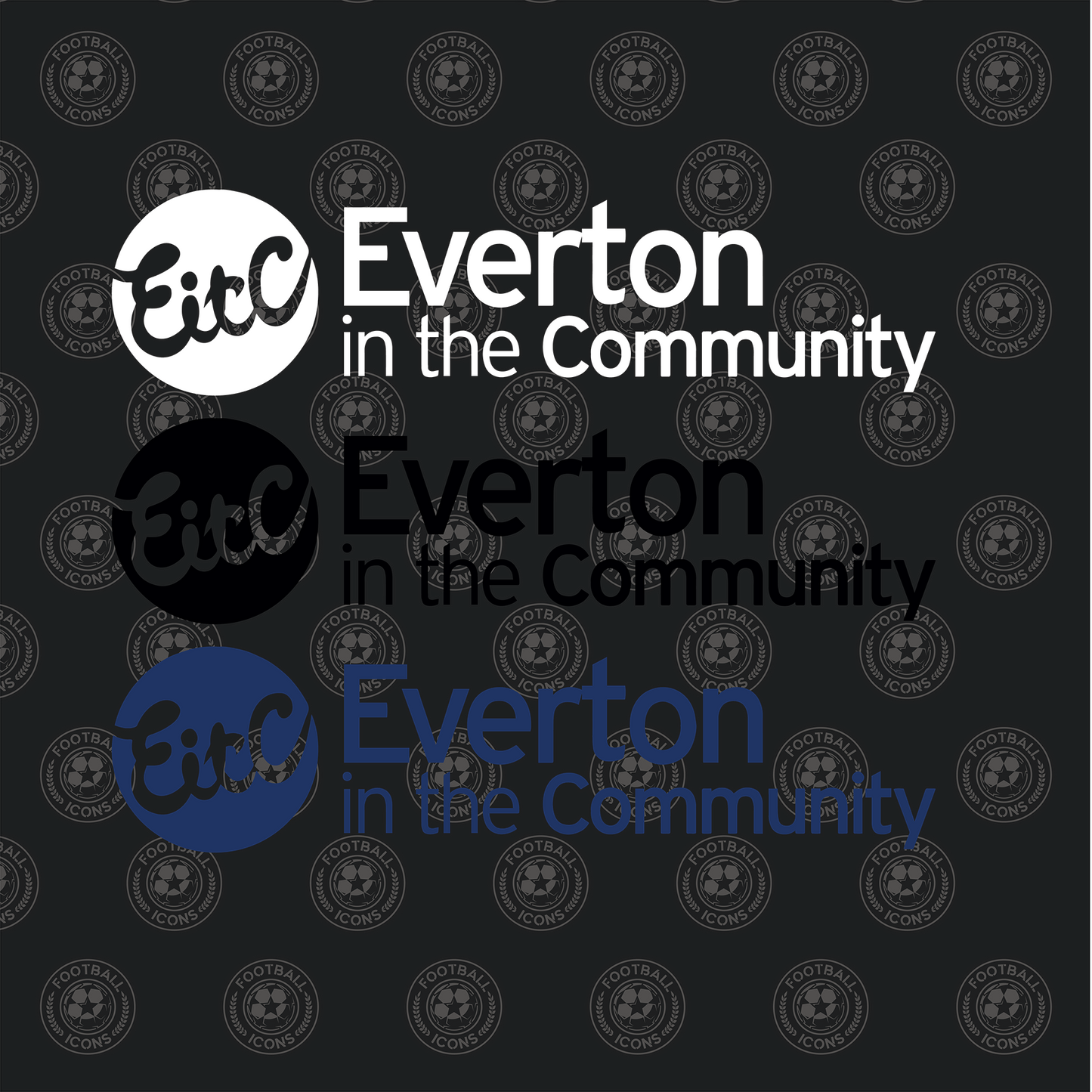 Everton in the Community Sponsor