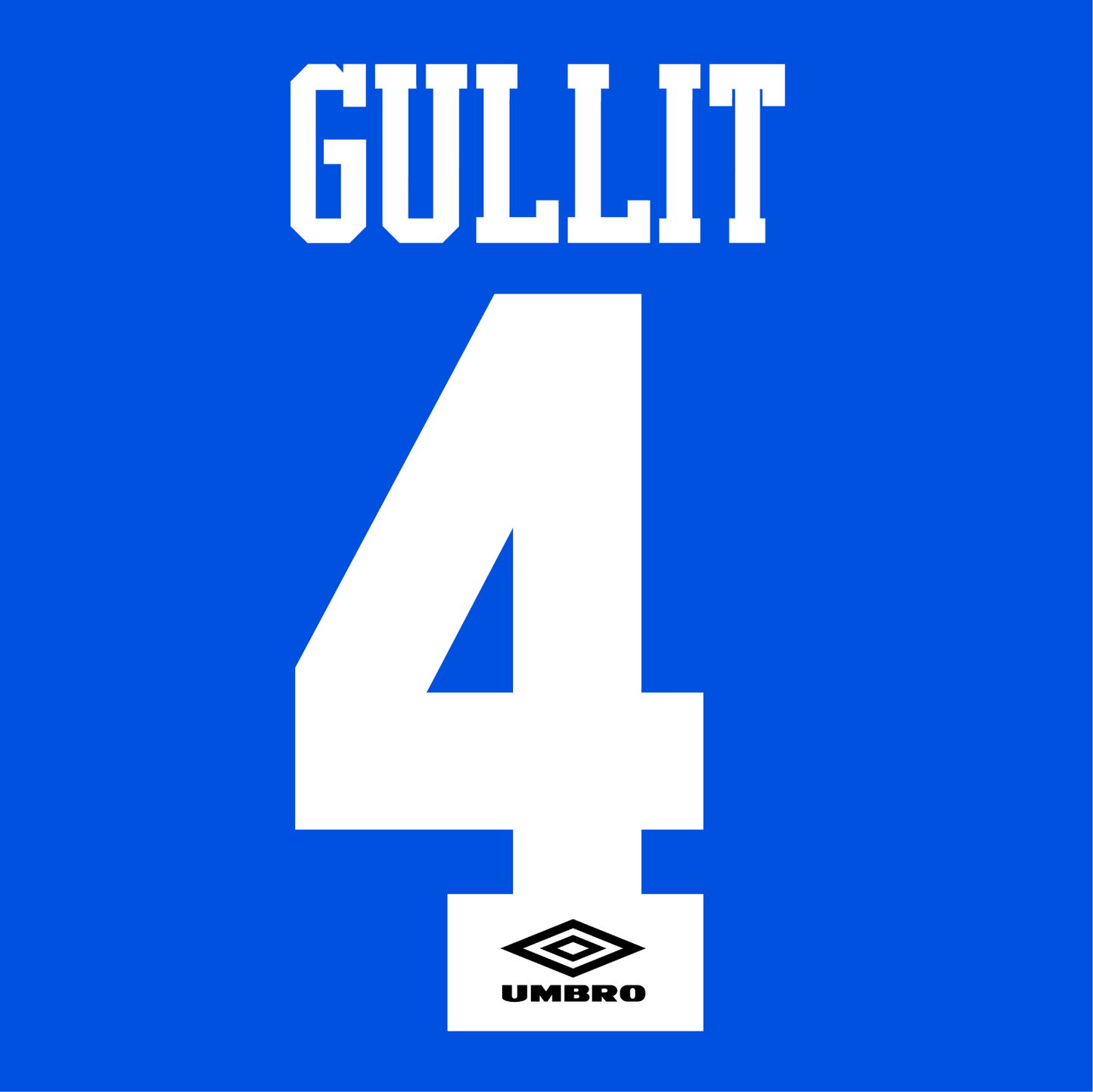 Chelsea Name Set 1995-96 Home Shirt ANY NAME/NUMBER Flock M L Gullit