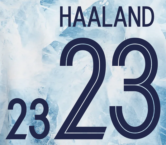 Norway Name Set Euro 2020 Away ANY NAME/NUMBER Football Shirt 2020 Haaland M L