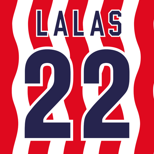 USA Name Set for Home Shirt 1994 ANY NAME/NUMBER Flock Football M L XL