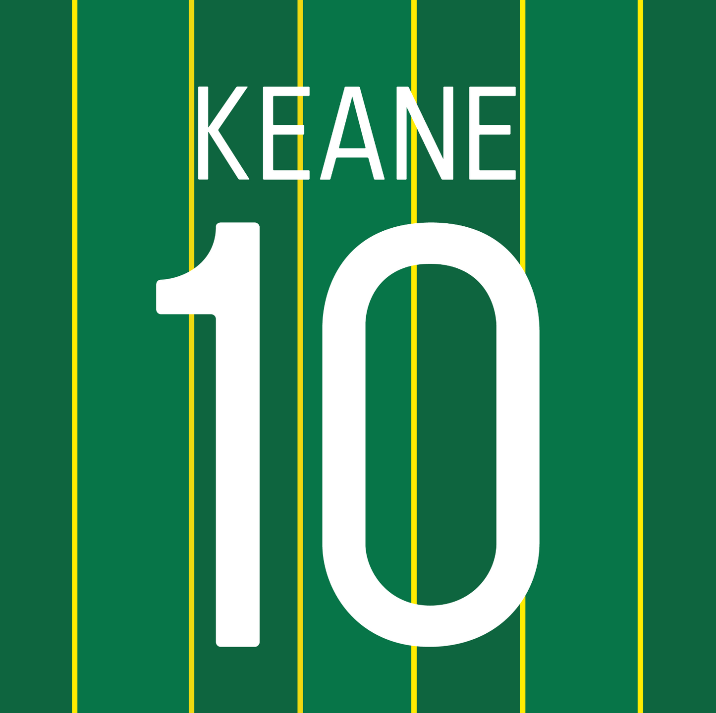 Ireland Name Set 2012 Home Shirt ANY NAME/NUMBER Keane Football M X L Republic