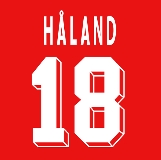 Norway 1994 Name Set Home Football Shirt ANY NUMBER Haland M L XL 94