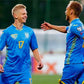 Ukraine 17-18 Name Set Away Football Shirt ANY NAME/NUMBER Zinchenko Yarmolenko